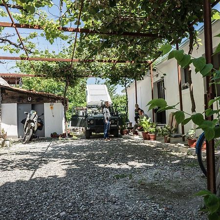 Eco Garten Guest House Shkodër Extérieur photo