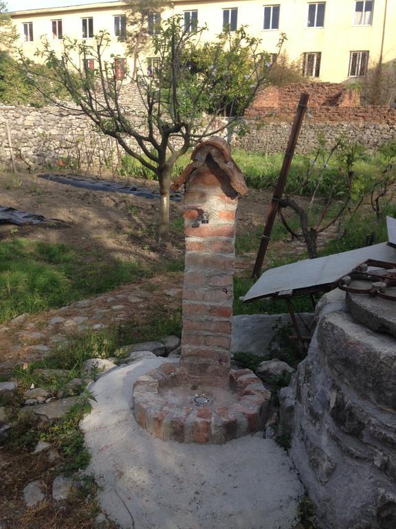 Eco Garten Guest House Shkodër Extérieur photo