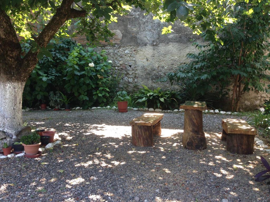 Eco Garten Guest House Shkodër Extérieur photo