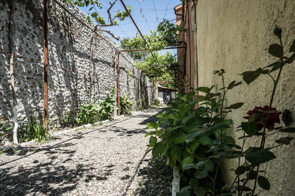 Eco Garten Guest House Shkodër Extérieur photo