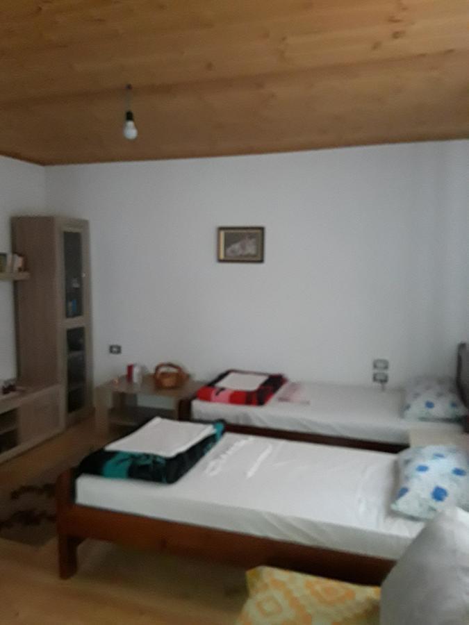 Eco Garten Guest House Shkodër Extérieur photo