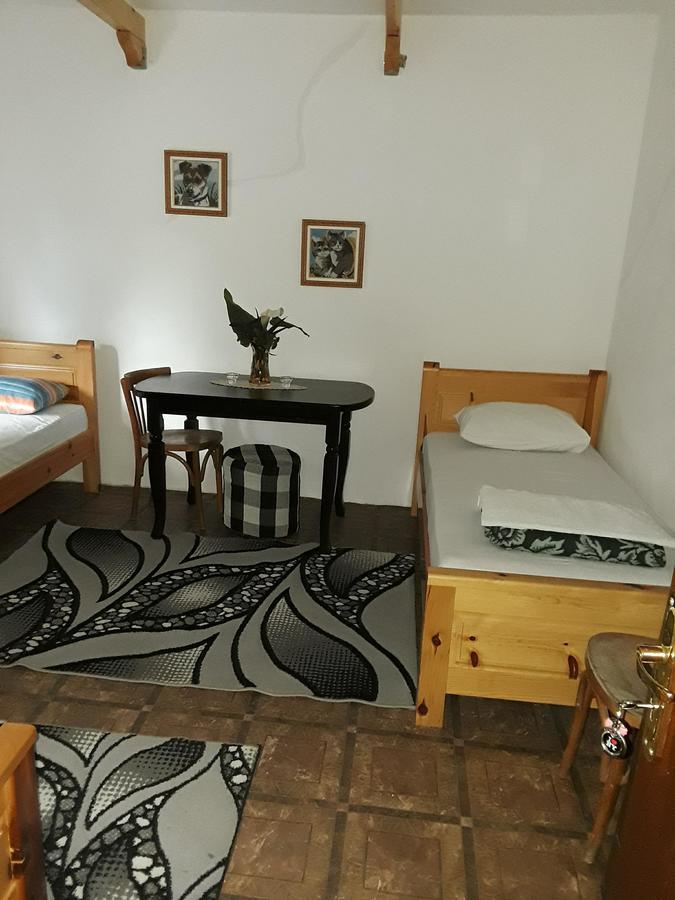 Eco Garten Guest House Shkodër Extérieur photo