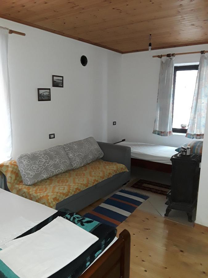 Eco Garten Guest House Shkodër Extérieur photo