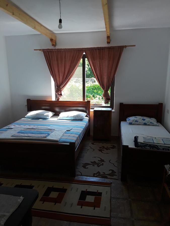 Eco Garten Guest House Shkodër Extérieur photo