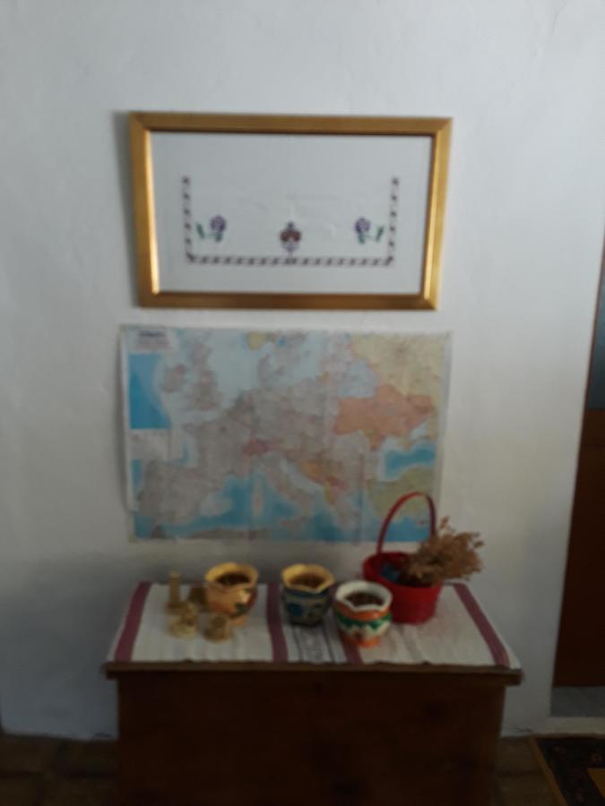 Eco Garten Guest House Shkodër Extérieur photo